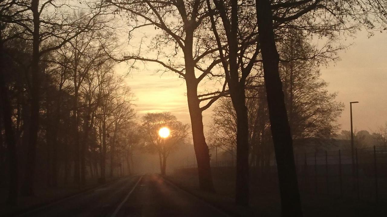 Fewoamglubigsee Wendisch Rietz Buitenkant foto